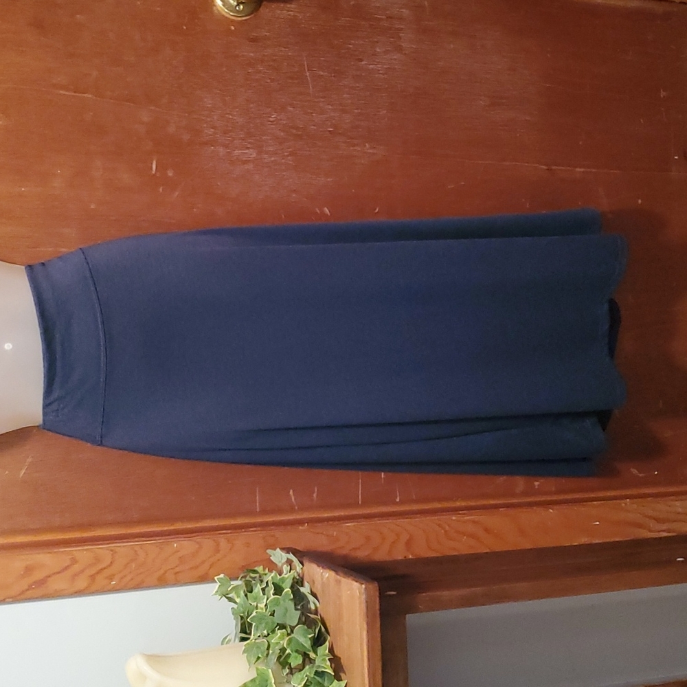 Jane Ashley Navy Skirt
